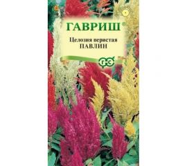 Семена ГАВРИШ Целозия Павлин, перистая смесь 0.05 г 1071858307 