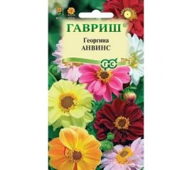 Семена ГАВРИШ Георгина Анвинс, смесь 0.3 г 10006452 