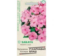 Бальзамин ГАВРИШ Карнавал Блаш Уоллера 4 шт. Саката Элитная клумба 1071856871 