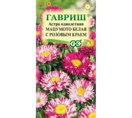 Семена ГАВРИШ Астра Мацумото белая с розовым краем, однолетняя 0.3 г 001758 