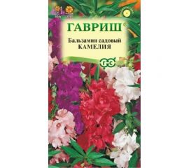 Семена ГАВРИШ Бальзамин Камелия садовый 0.1 г 1071856862 