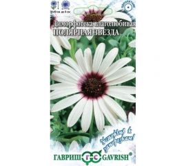 Диморфотека ГАВРИШ Полярная звезда 0.1 г Устойчив к заморозкам 1071857668 