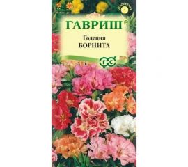 Семена ГАВРИШ Годеция Борнита, низкая смесь, 0,05 г 1071857557 