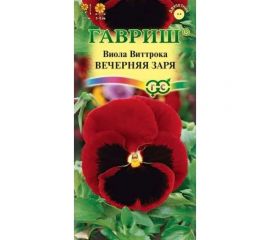 Виола ГАВРИШ Вечерняя заря, Виттрока Анютины глазки 0.05 г 1071857335 