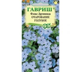 Флокс ГАВРИШ Очарование голубое, Друммонда 0,05 г 10006772 