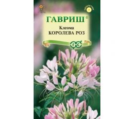 Клеома ГАВРИШ Королева роз 0.2 г 1071858787 