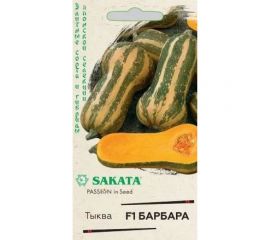 Тыква ГАВРИШ Барбара, мускатная 5 шт.Саката 1912236347 