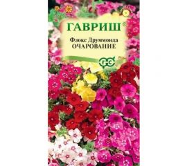 Флокс ГАВРИШ Очарование, Друммонда, смесь 0,05 г 10006769 