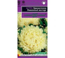 Астра ГАВРИШ Хризантелла Лимонный восторг (хризантемовидная) 0,05 г 1070008061 