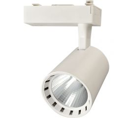 Прожектор Jazzway PTR 0330 30w 4000K 24гр. WH белый IP40 5010598 