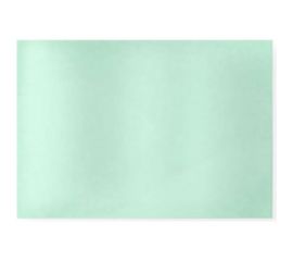 Пластина поликарбонатная 94х43х1 мм (внутреннее стекло к маске PERSEY) AWT 536203 