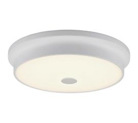 Настенно-потолочный светильник Citilux Фостер-2, белый CL706230 