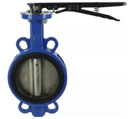 Дисковый поворотный затвор DN.ru GGG50-GGG40 Ду125 Ру16, уплотнение EPDM, под привод D050-01790 