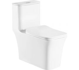 Напольный безободковый унитаз-моноблок с сиденьем микролифт Azario GRESSA 705x370x760 мм AZ-1111 00080315 