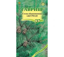 Сосна обыкновенная ГАВРИШ Ажурная 0,2 г 004977 