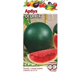 Семена ГАВРИШ Арбуз Огонек 1.0 г 001411 