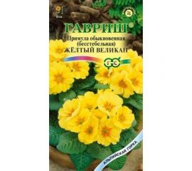 Примула ГАВРИШ Желтый Великан 10 шт. Альпийская горка 002387 