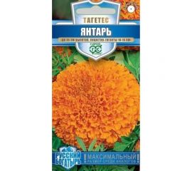 Бархатцы ГАВРИШ Янтарь 30 см, Тагетес 0,1 г, серия Русский богатырь 1999949497 