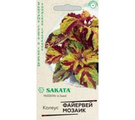 Колеус Файервей Мозаик ГАВРИШ 4 шт. Саката Н20 1071857916 