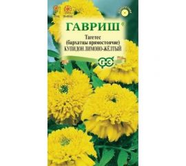 Семена ГАВРИШ Бархатцы прямостоячие Купидон, лимонно-желтый (20 см), Тагетес, 0,05 г 4601445 