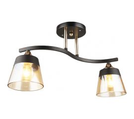 Потолочная люстра ВИНКРУС BK-FGD, E27x2x60W N3772/2 