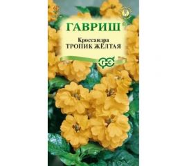 Кроссандра ГАВРИШ Тропик желтая 3 шт. Элитная клумба 10000048 