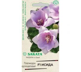 Ширококолокольчик платикодон ГАВРИШ крупноцветковый, Исида F1, 4 шт, Саката серия Эксклюзив 1071858330 