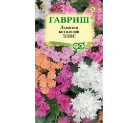 Льюизия котиледон, левизия туполистная ГАВРИШ Элис 5 шт. 1026995630 