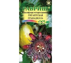 Пассифлора ГАВРИШ Гигантская гранадилла (четырехгранная) 3 шт. 1026997542 