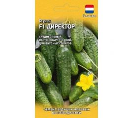 Семена ГАВРИШ Огурец Директор 5 шт., Голландия 1999948923 