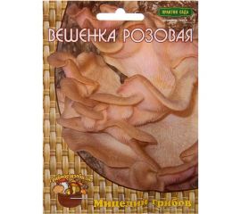 Мицелий на древесном носителе Поиск Вешенка розовая 12 шт. 4601887152156 