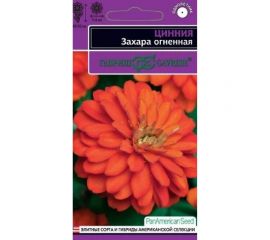 Цинния ГАВРИШ Захара огненная, 5 шт, серия Эксклюзив 1071858324 
