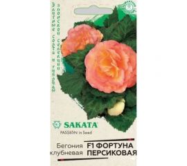 Бегония ГАВРИШ Фортуна Персиковая клубника, пионовидные гранулы 4 шт. пробирка Саката серия Эксклюзив 1999945881 