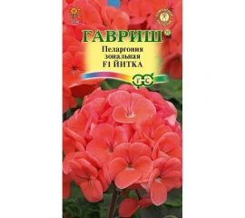 Пеларгония ГАВРИШ Йитка зональная 4 шт. 4602054 
