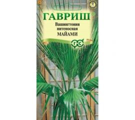 Вашингтония нитеносная ГАВРИШ Майами 3 шт. 10005835 