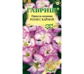 Примула ГАВРИШ Роззи с каймой, махровая 3шт. Элитная клумба 10008335 