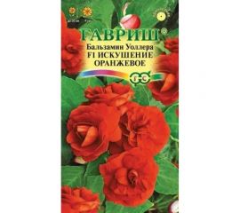 Семена ГАВРИШ Бальзамин Искушение оранжевое (Уоллера) 4 шт. 1071856868 