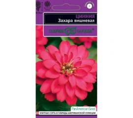 Цинния ГАВРИШ Захара вишневая 5 шт, серия Эксклюзив 1071858317 