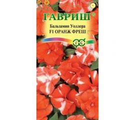 Бальзамин ГАВРИШ Оранж фреш Уоллера махр 4 шт. 1071856808 