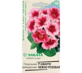 Семена ГАВРИШ Глоксиния Аванти нежно-розовая, гранулированные, 5 шт., пробирка, Саката, серия Эксклюзив 10008302 