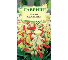 Сальвия ГАВРИШ Кассиопея, карликовая 4 шт. 1071858221 