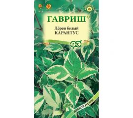 Семена ГАВРИШ Дерен белый Карантус 0.1 г 003624 
