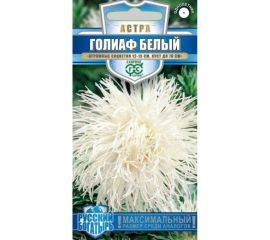 Семена ГАВРИШ Астра Голиаф белый Русский богатырь однолетняя (игольчатая), 0.3 г 1999949489 