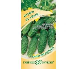 Семена ГАВРИШ Огурец Аванс 10 шт корнишон авторские 4601996 