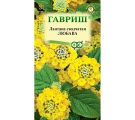 Лантана сводчатая ГАВРИШ Любава 0.1 г 003329 