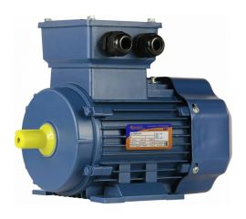 Электродвигатель 5АИ 63 А2 0.37/3000 IM 1081 01.01.213519 
