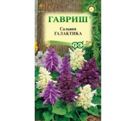 Сальвия ГАВРИШ Галактика, карликовая, смесь 6 шт 1071858175 