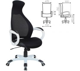 Компьютерное офисное кресло руководителя BRABIX PREMIUM Genesis EX-517, с подлокотниками, экокожа / сетка 531573 