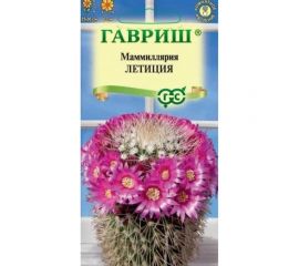 Маммиллярия ГАВРИШ Бакеберга (Кактус) Летиция 2 шт. 1071854722 