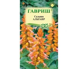 Семена ГАВРИШ Сальвия Альтаир, карликовая 4 шт 1071858220 